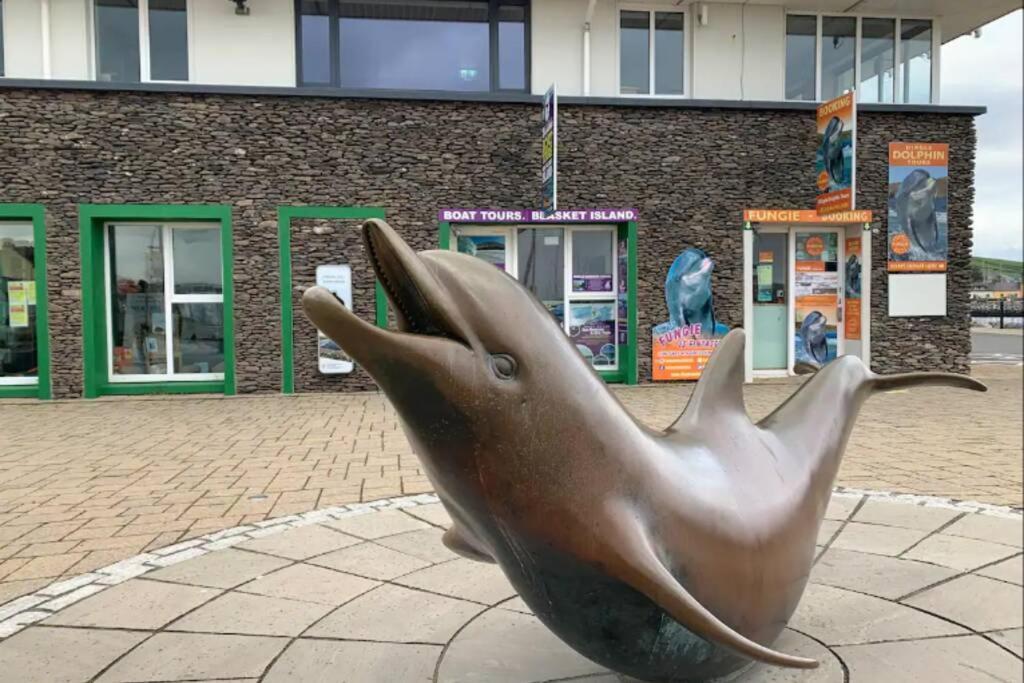 Centre Of Dingle Town - Luxury Holiday Apartment 外观 照片