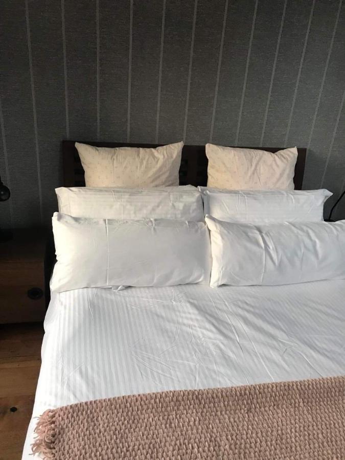 Centre Of Dingle Town - Luxury Holiday Apartment 外观 照片